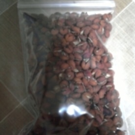 6dyavolutuo Zm 6dyavolutuo Zm